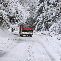 Einsatz_THL_Baum_2023-12-02_4.jpg