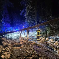 Einsatz_THL_Baum_2023-12-02.jpg