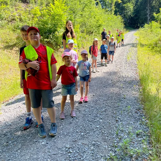 IMG-20250621-Wanderung nach Metten zur Eisdiele.jpg